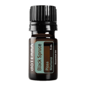 Black Spruce Óleo Essencial  Picea mariana