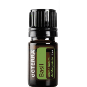 Basil  Aroma Natural de Manjericão