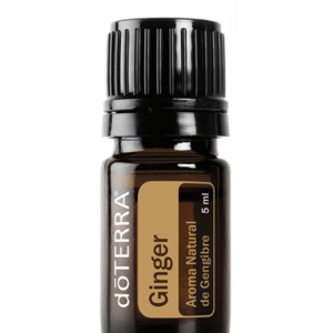 Ginger  - Aroma Natural de Gengibre