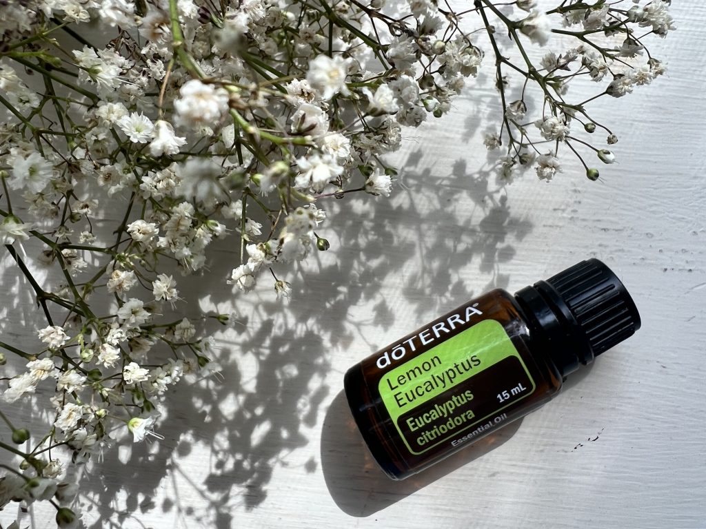 Lemon Eucalyptus Óleo Essencial - Imagem 2