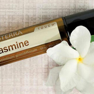 Jasmine Touch  Jasminum grandiflorum