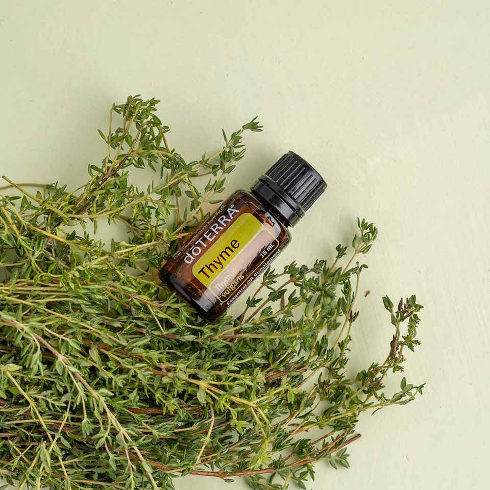 Thyme Aroma Natural de Tomilho - Imagem 3